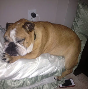 Meet your Posher, Jay